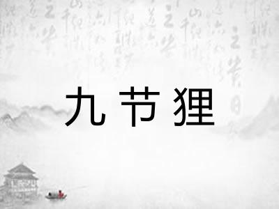 九节狸