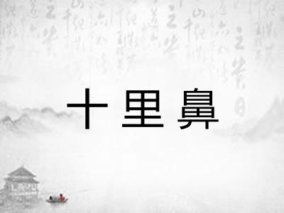 十里鼻 十里鼻