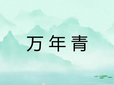 万年青 万年青