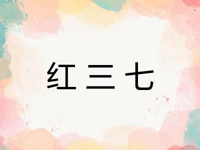 红三七 红三七