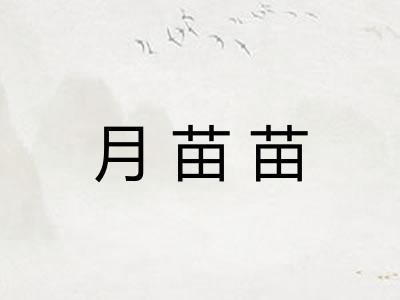 月苗苗 月苗苗