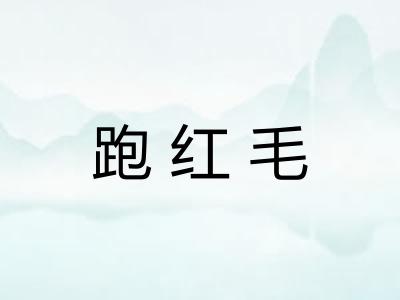 跑红毛 跑红毛