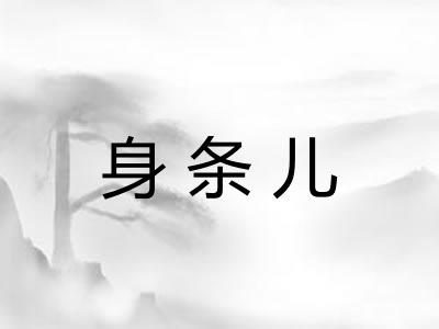 身条儿 身条儿