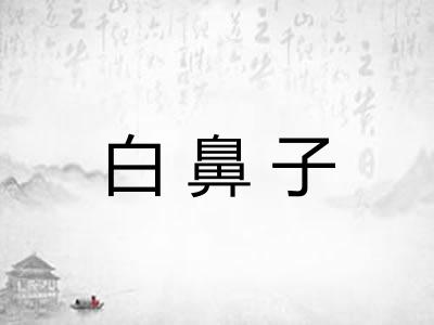 白鼻子