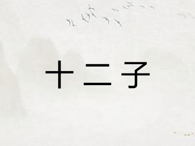 十二子
