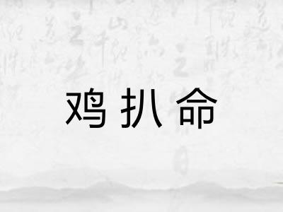 鸡扒命