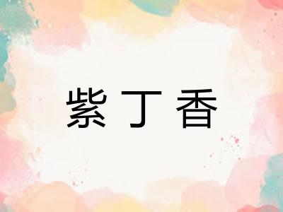 紫丁香 紫丁香