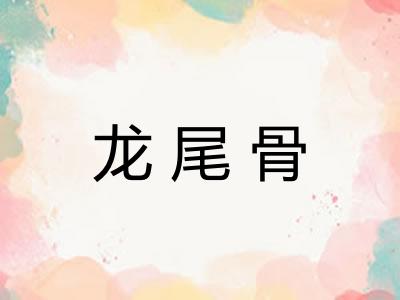 龙尾骨 龙尾骨