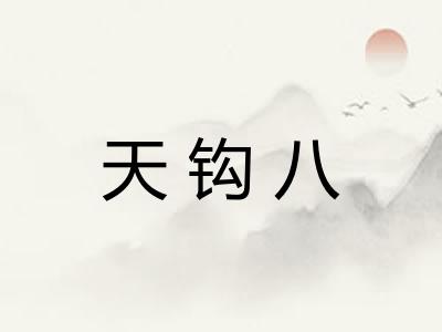 天钩八