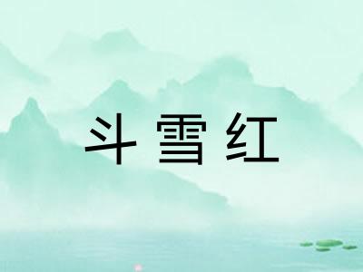 斗雪红 斗雪红