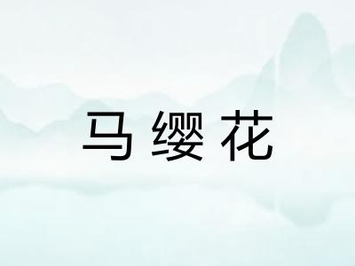 马缨花 马缨花