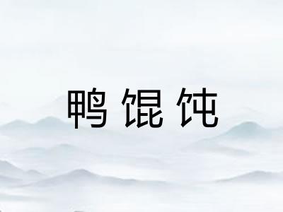 鸭馄饨 鸭馄饨