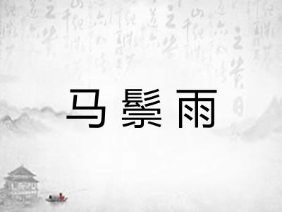 马鬃雨