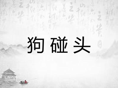 狗碰头 狗碰头