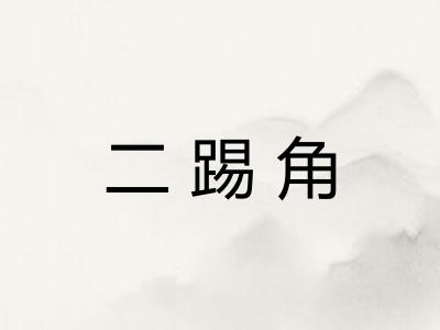 二踢角 二踢角