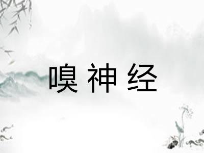 嗅神经 嗅神经