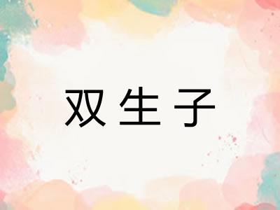 双生子 双生子
