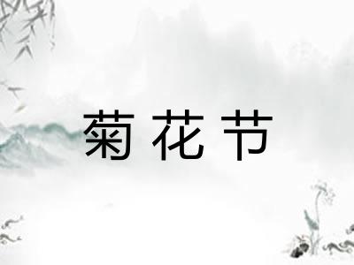 菊花节 菊花节