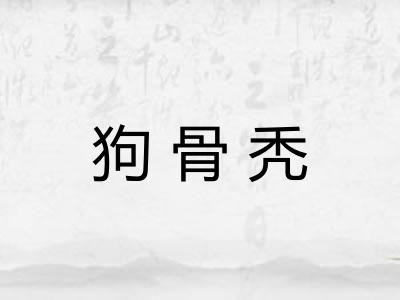 狗骨秃