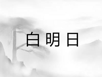 白明日 白明日