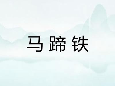 马蹄铁 马蹄铁