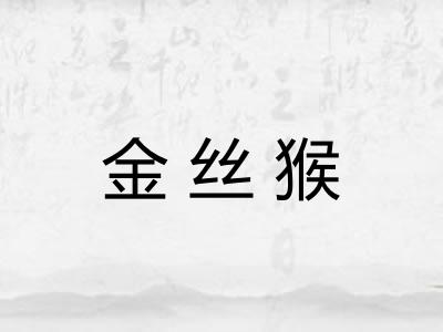 金丝猴 金丝猴
