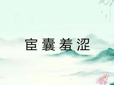 宦囊羞涩 宦囊羞涩