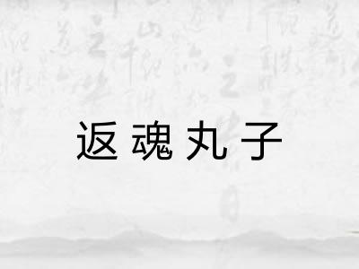 返魂丸子 返魂丸子