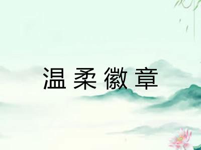 温柔徽章 温柔徽章