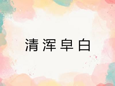 清浑皁白