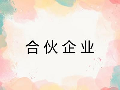 合伙企业 合伙企业