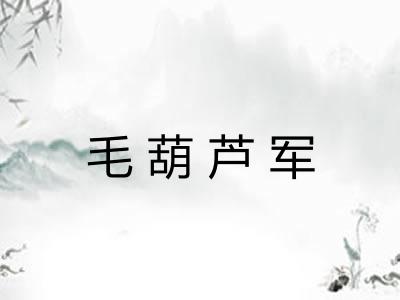 毛葫芦军 毛葫芦军