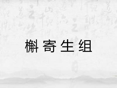 槲寄生组 槲寄生组