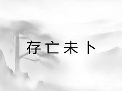 存亡未卜 存亡未卜