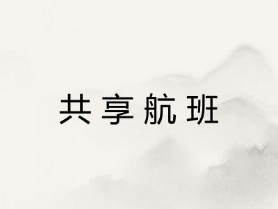 共享航班 共享航班