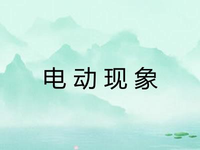 电动现象 电动现象