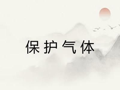 保护气体 保护气体