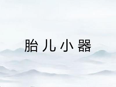 胎儿小器