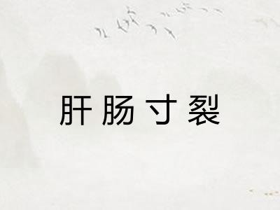 肝肠寸裂 肝肠寸裂