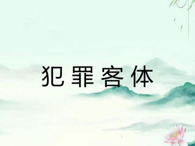 犯罪客体 犯罪客体