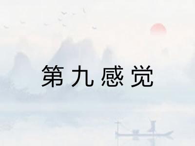 第九感觉