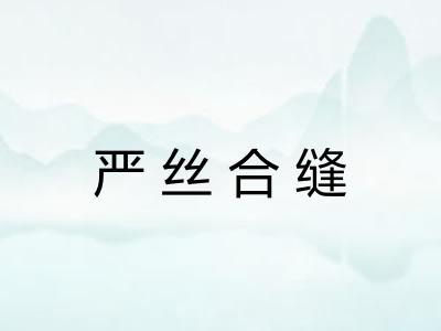 严丝合缝 严丝合缝