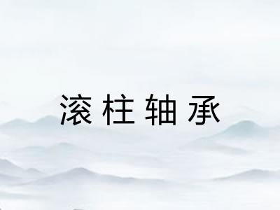 滚柱轴承 滚柱轴承