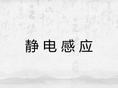 静电感应 静电感应
