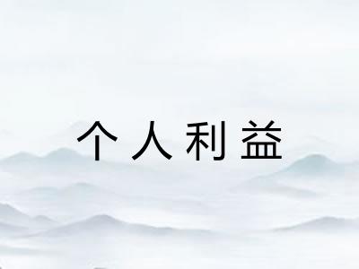 个人利益