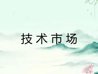 技术市场