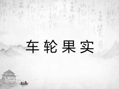 车轮果实
