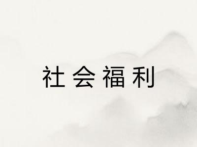 社会福利 社会福利