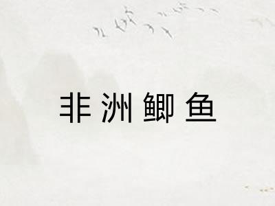 非洲鲫鱼 非洲鲫鱼