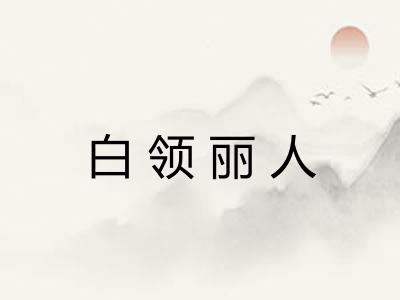 白领丽人 白领丽人